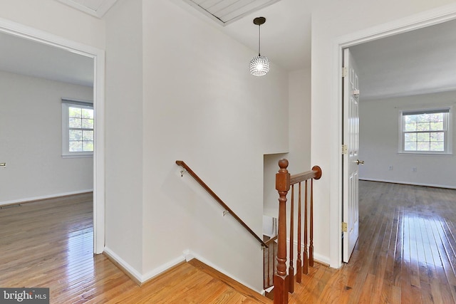 13407 Brookfield Dr, Chantilly, VA 20151 - stairs featuring plenty of natural light, wood-type flooring, and baseboards