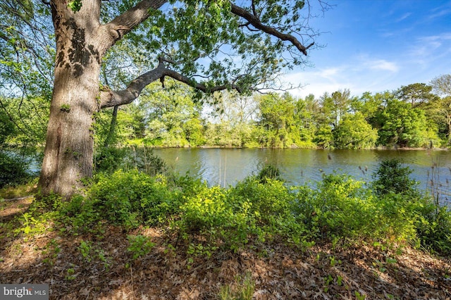 water view
