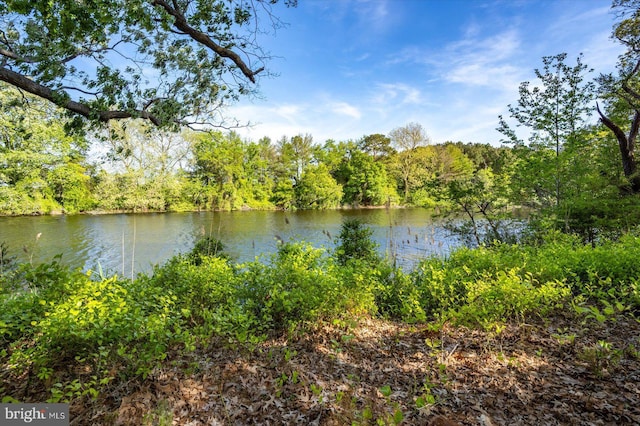 water view with a view of trees