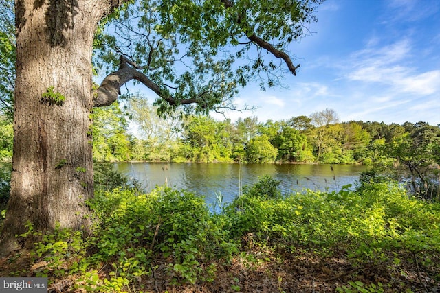 property view of water with a view of trees