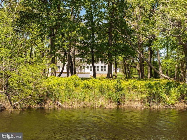 property view of water