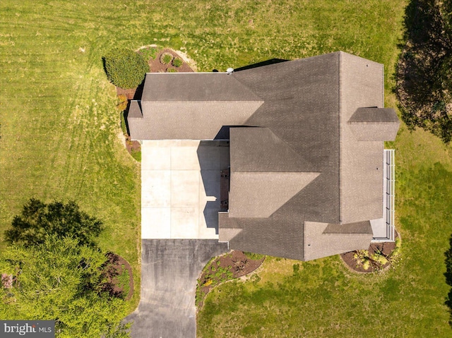 bird's eye view