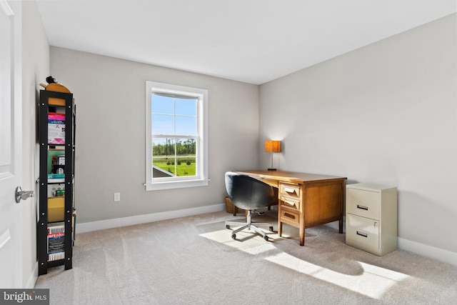 office space featuring carpet floors and baseboards