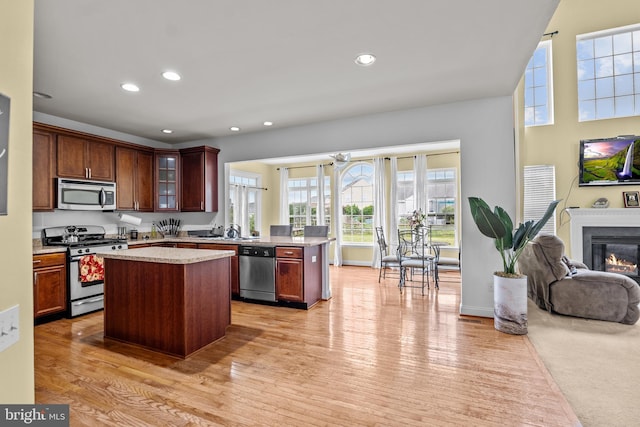 54 Durham Ln, Smyrna, DE 19977 - kitchen featuring stainless steel appliances, a peninsula, light wood finished floors, glass insert cabinets, and recessed lighting