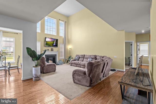 54 Durham Ln, Smyrna, DE 19977 - living area featuring hardwood / wood-style floors, plenty of natural light, a towering ceiling, and baseboards