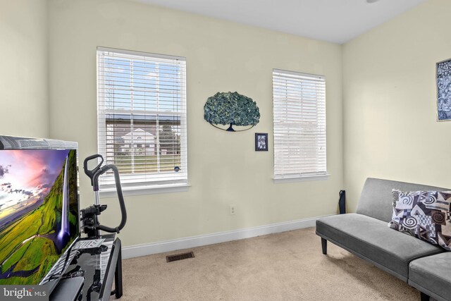 54 Durham Ln, Smyrna, DE 19977 - living area with carpet flooring, healthy amount of natural light, and baseboards