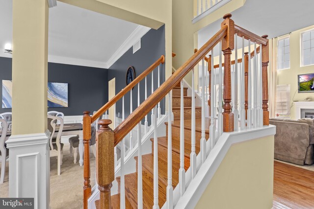 54 Durham Ln, Smyrna, DE 19977 - stairs with crown molding and wood finished floors