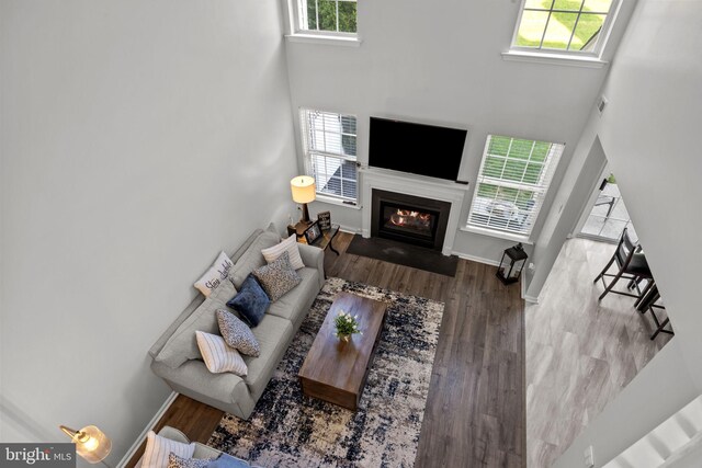 living area with a high ceiling, a fireplace with flush hearth, and wood finished floors