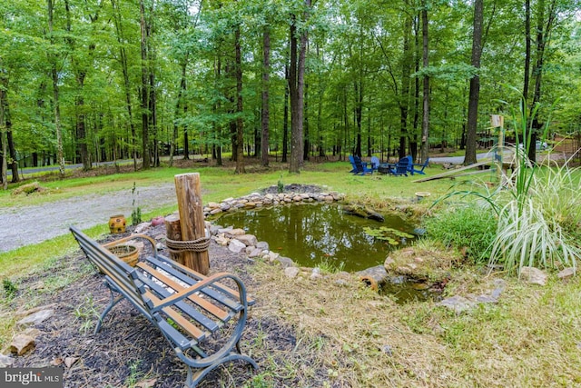 view of home's community