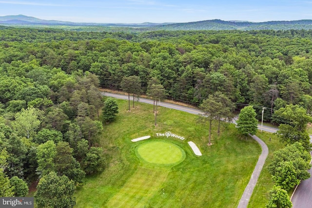 drone / aerial view featuring a forest view and a mountain view