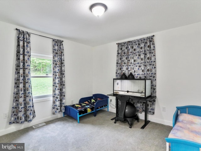 74 Red Maple Ln, Harpers Ferry, WV 25425 - interior space featuring visible vents, baseboards, and carpet floors