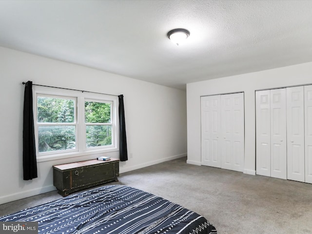 74 Red Maple Ln, Harpers Ferry, WV 25425 - unfurnished bedroom featuring baseboards, a textured ceiling, two closets, and carpet
