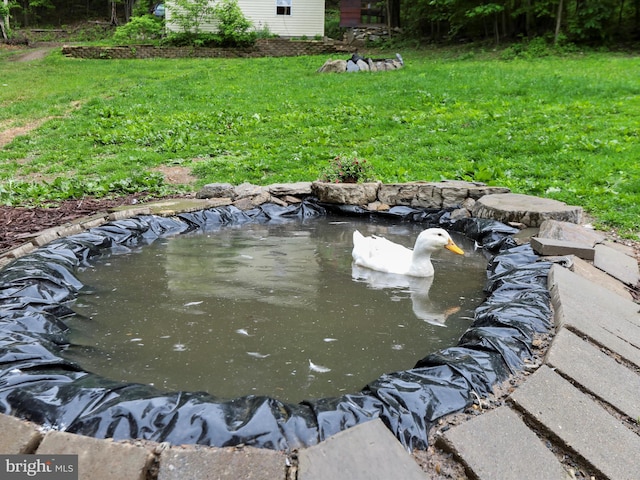 74 Red Maple Ln, Harpers Ferry, WV 25425 - exterior space with a garden pond