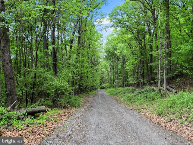 74 Red Maple Ln, Harpers Ferry, WV 25425 - view of street featuring a wooded view
