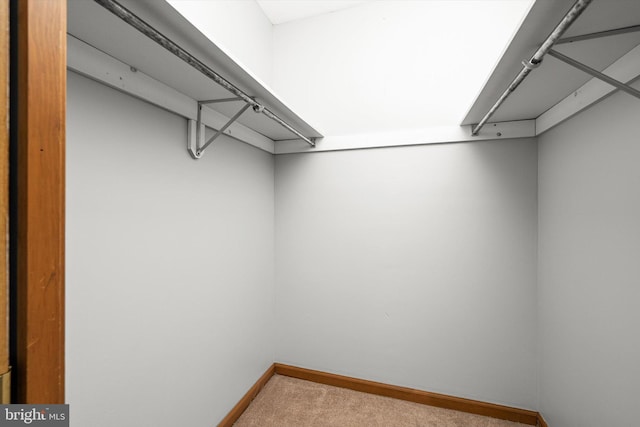 walk in closet with carpet