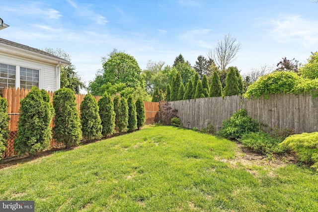 view of yard with a fenced backyard