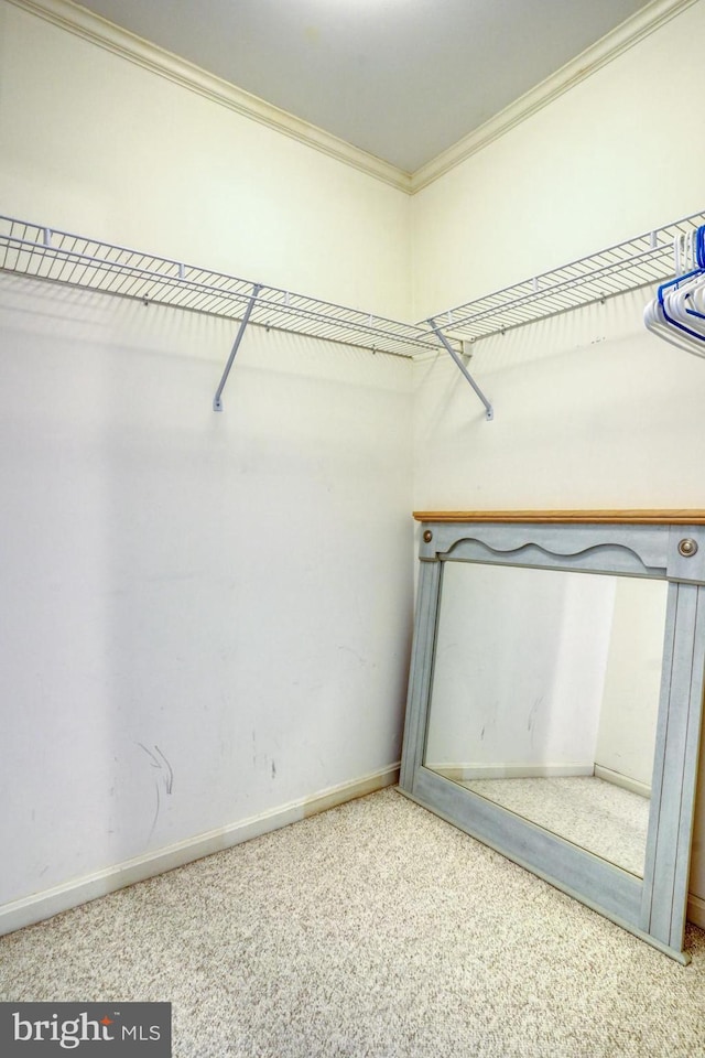 3201 Blue Heron Dr Unit 01, Rehoboth Beach, DE 19971 - walk in closet with carpet floors