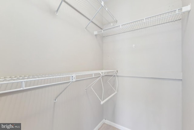 view of spacious closet