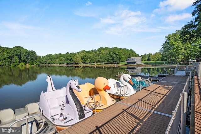 dock area with a water view