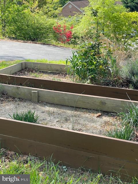 details featuring a garden