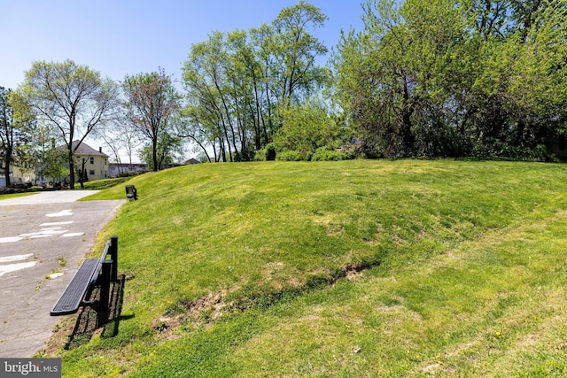1414 Simpson St, Marcus Hook, PA 19061 - view of yard