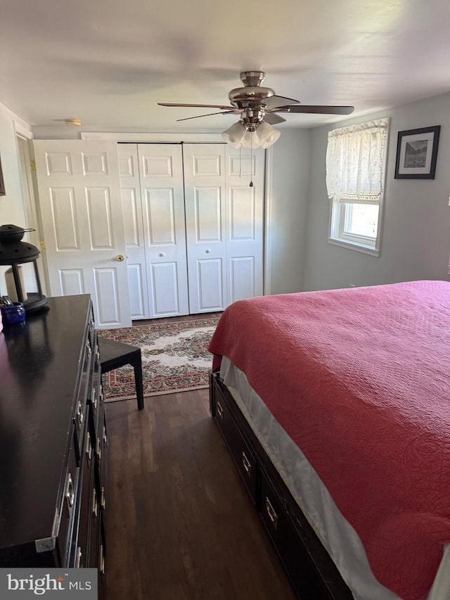 bedroom featuring a ceiling fan, dark wood-style floors, and a closet