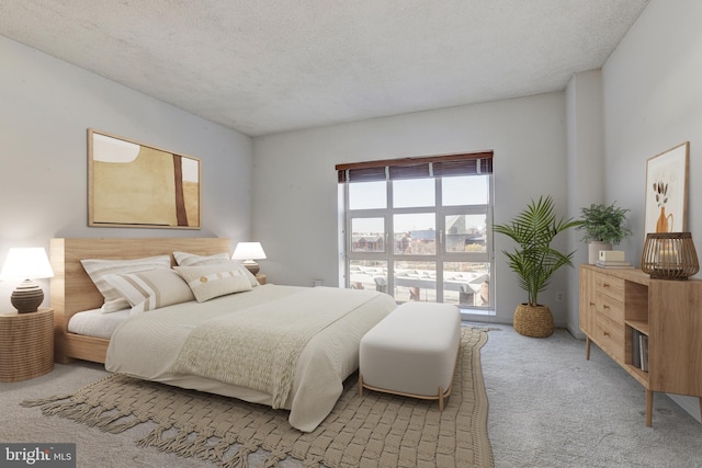 250 President St Unit 308, Baltimore, MD 21202 - bedroom with a textured ceiling and light colored carpet