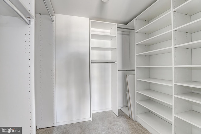 250 President St Unit 308, Baltimore, MD 21202 - walk in closet featuring carpet