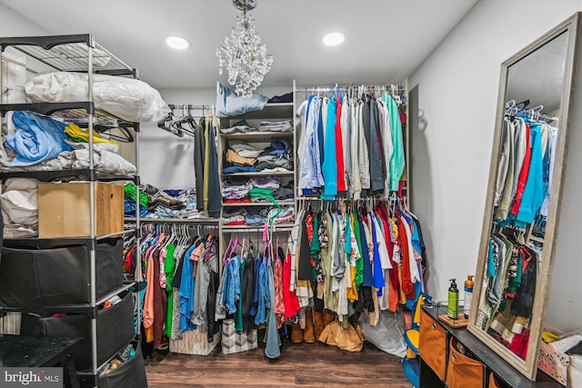 spacious closet featuring wood finished floors