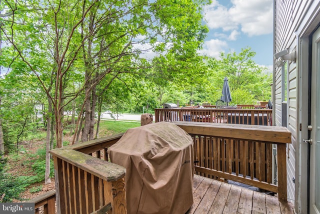 602 Lions Gate Ln, Odenton, MD 21113 - deck with grilling area