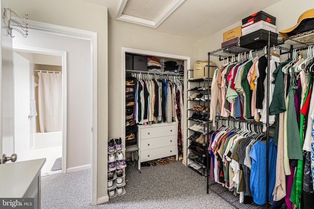 602 Lions Gate Ln, Odenton, MD 21113 - spacious closet with carpet flooring and attic access