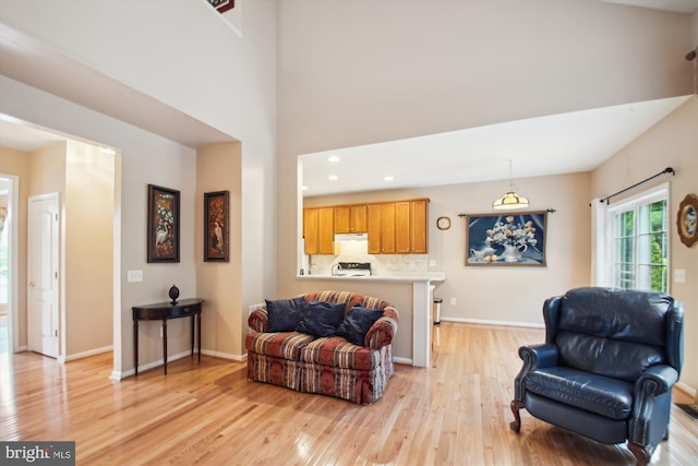 living area with baseboards, recessed lighting, and light wood finished floors