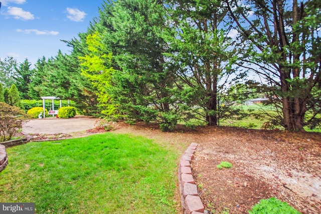 view of yard