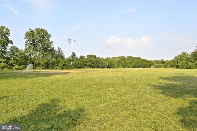 view of yard