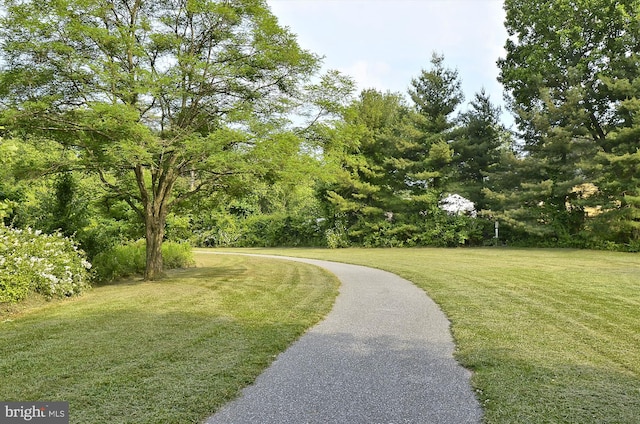 view of community featuring a yard