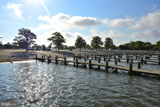 dock area with a water view