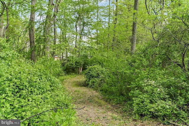 view of landscape with a forest view