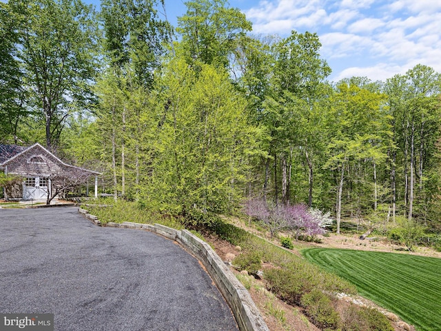 view of road with aphalt driveway