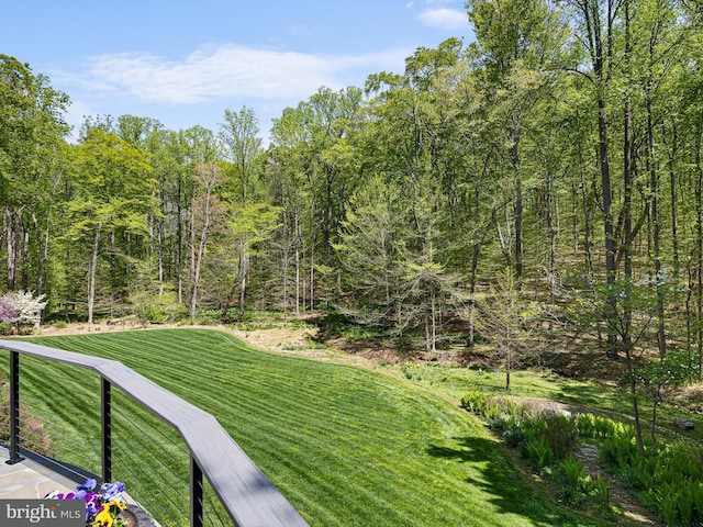 view of yard