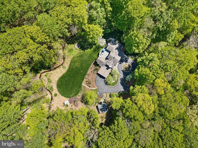 drone / aerial view