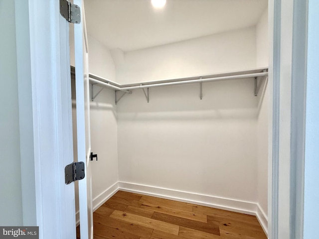 spacious closet with hardwood / wood-style flooring