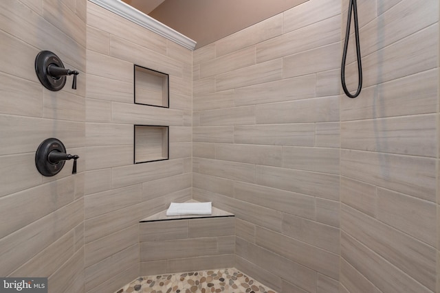 193 Greenbrier Dr, Mc Henry, MD 21541 - bathroom featuring tiled shower