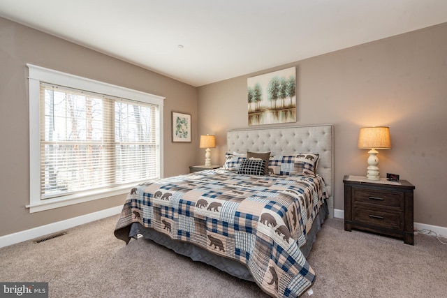 193 Greenbrier Dr, Mc Henry, MD 21541 - bedroom with carpet floors, baseboards, and visible vents