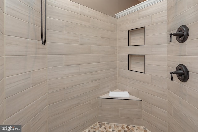 193 Greenbrier Dr, Mc Henry, MD 21541 - bathroom with a tile shower