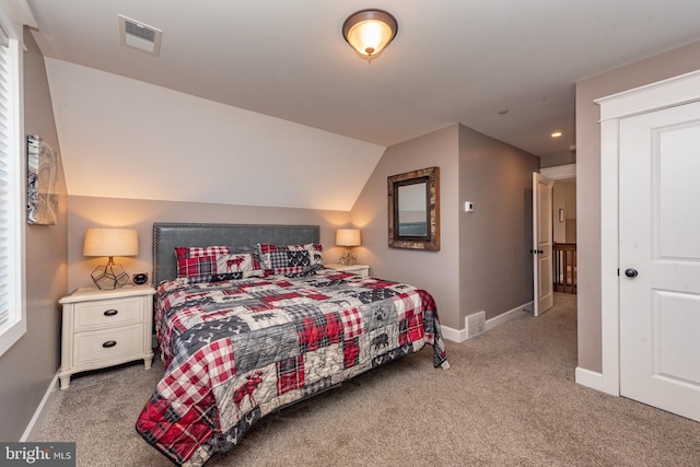 193 Greenbrier Dr, Mc Henry, MD 21541 - bedroom with carpet flooring, baseboards, and visible vents