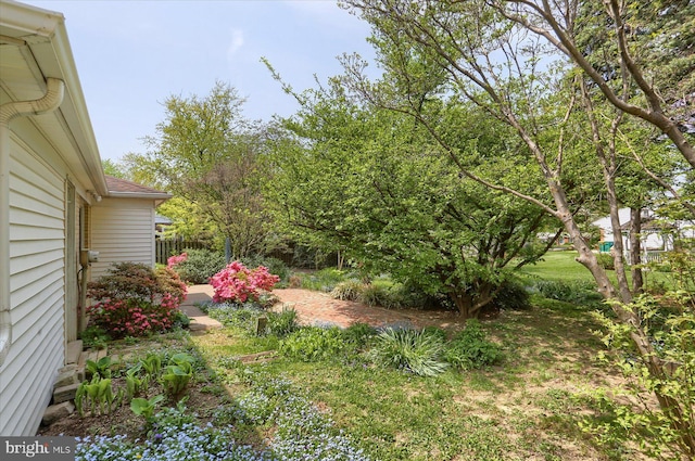 view of yard