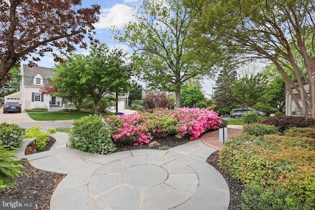 view of property's community
