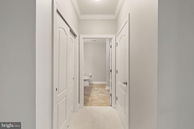 corridor with crown molding