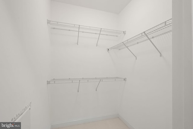 view of spacious closet