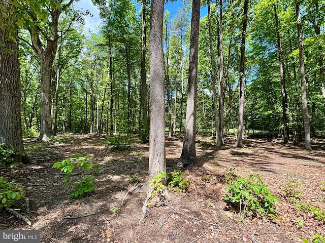view of nature